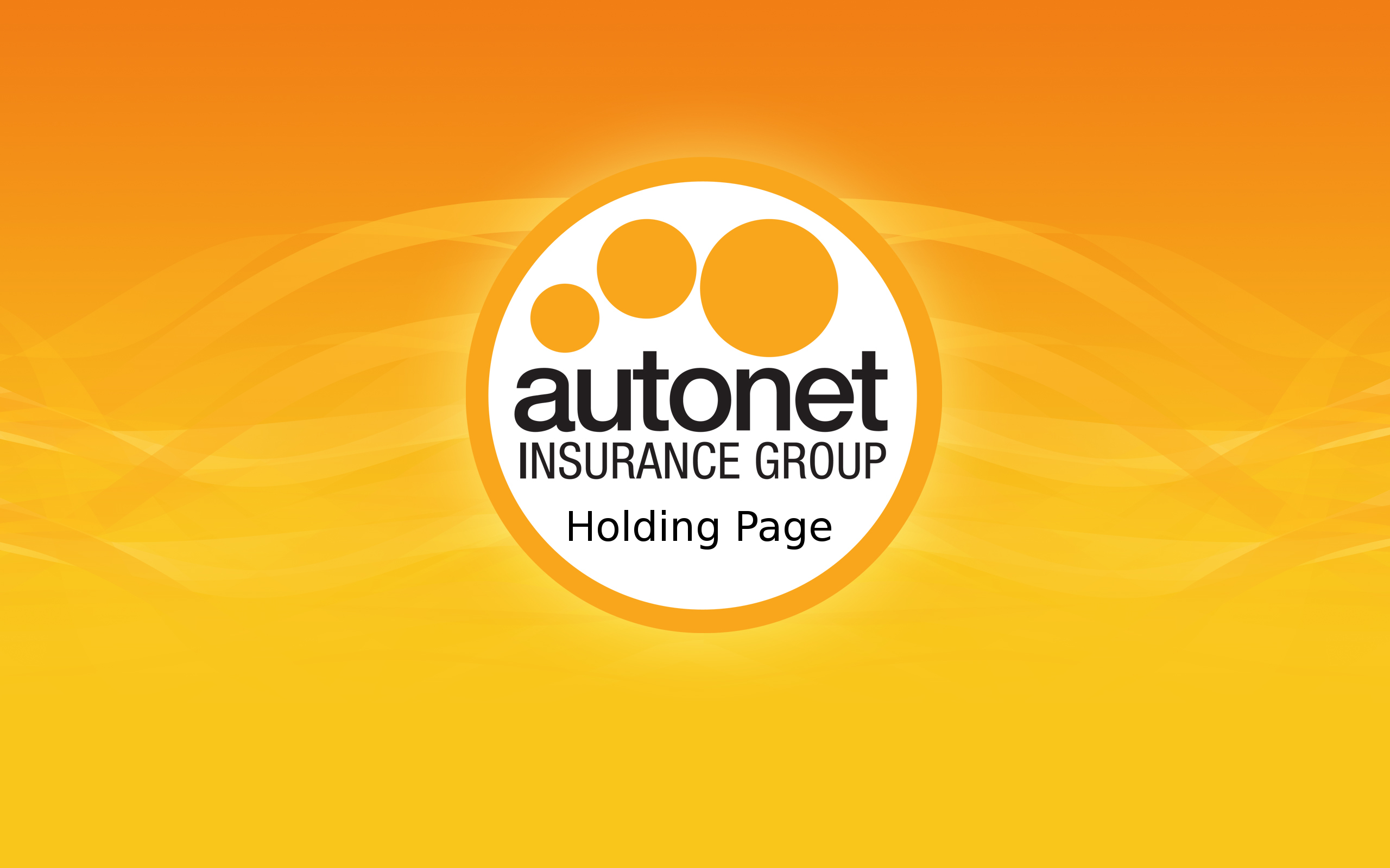 Autonet Holding Page
